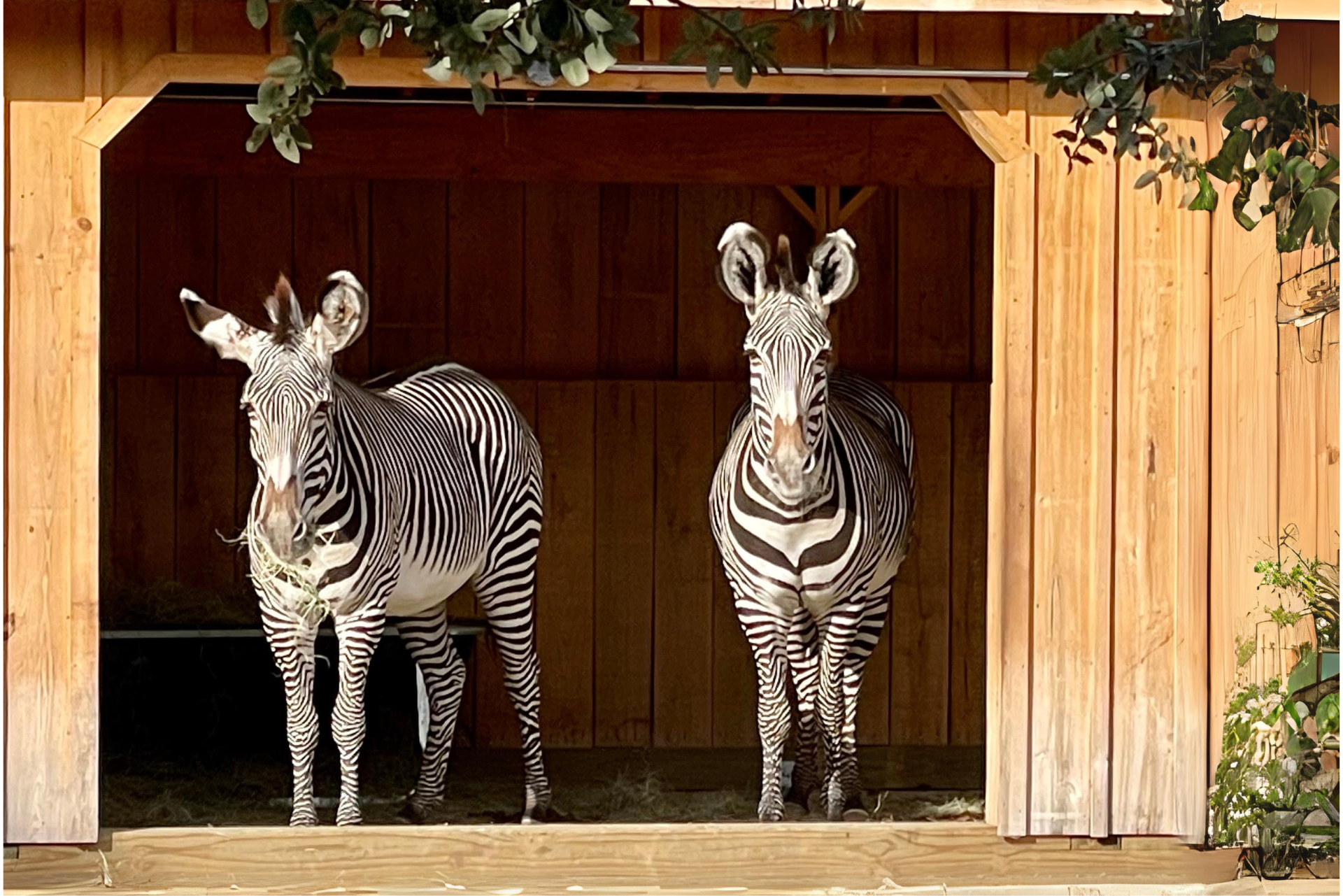 Austin Zoo
